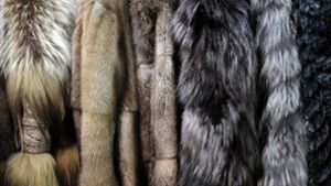 Sündhaft teure Pelzmäntel gestohlen – Zeugen gesucht