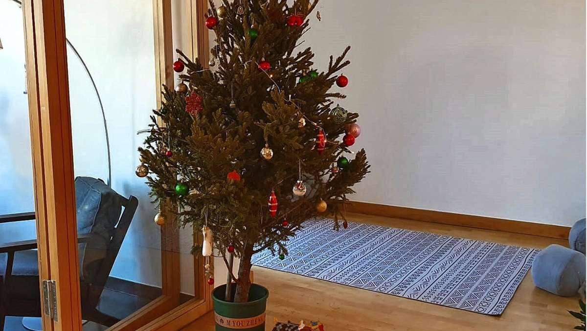  Die Stuttgarter Oberärztin Regina Küper über ihr erstes Weihnachten in Peking und einen schrägen Christbaum, der ihr dennoch ans Herz gewachsen ist. 