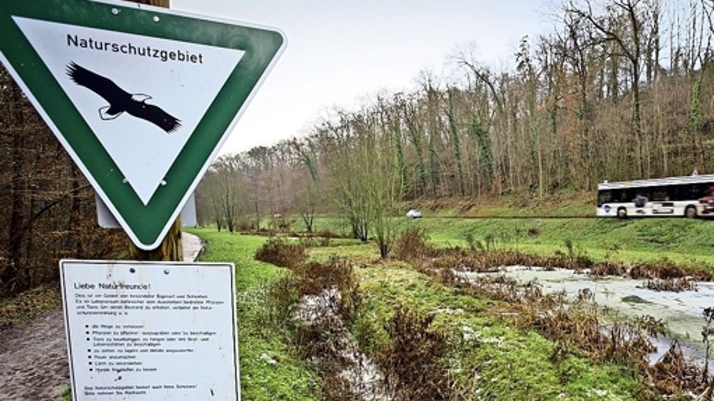 Neuer Kanal für Feuerbach: Der Schutz vor zu viel Schmutz