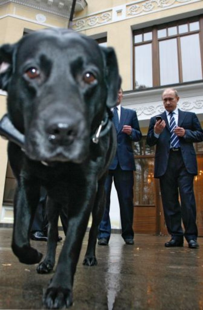 Labrador Koni muss nicht eifersüchtig sein: Die Begrüßung der hohen Staatsgäste bleibt immer noch ihm überlassen.