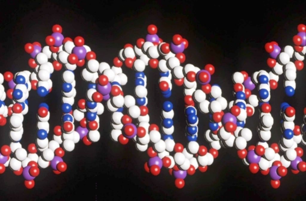 Auch der Strang der DNA wird gelegentlich falsch dargestellt. Die Doppelhelix windet sich wie eine Schraube rechts herum. Auf dieser Seite werden Beispiele für linkshändige DNA-Stränge gesammelt.