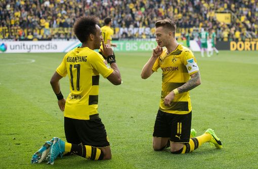 Die Dortmunder Spieler feiern den direkten Einzug in die Champions League. Foto: dpa