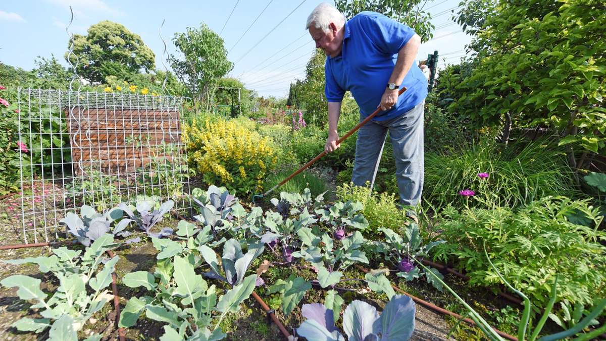 Gartenbau: Warum es für Hobbygärtner teurer wird