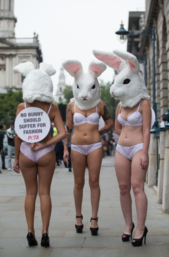 Im Vorfeld der London Fashion Week hatte es vor dem Somerset House in London eine Demonstration gegeben. Nur mit weißer Unterwäsche und einem Hasenkopf bekleidet protestierten Tierschützer der Gruppe Peta gegen die Nutzung von Kaninchenfell bei der Kleiderherstellung.