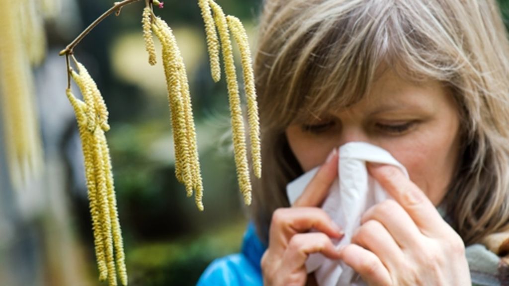 Heuschnupfen: Pollenflug macht Allergikern jetzt schon zu schaffen