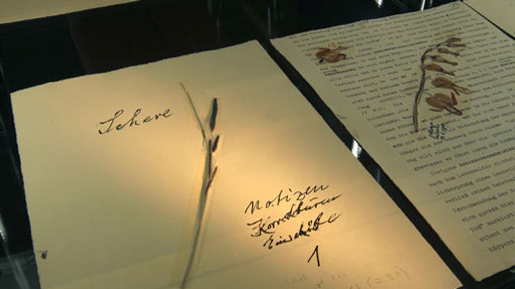 Ernst-Jünger-Ausstellung: Das Schlachtfeld der Manuskripte