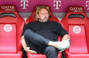 Die große Aufregung: VfB-Fans starten Online-Petition