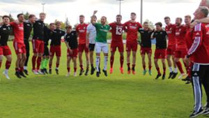 Fußball Landesliga: Tor zur Verbandsliga steht für TSV Heimerdingen weit offen