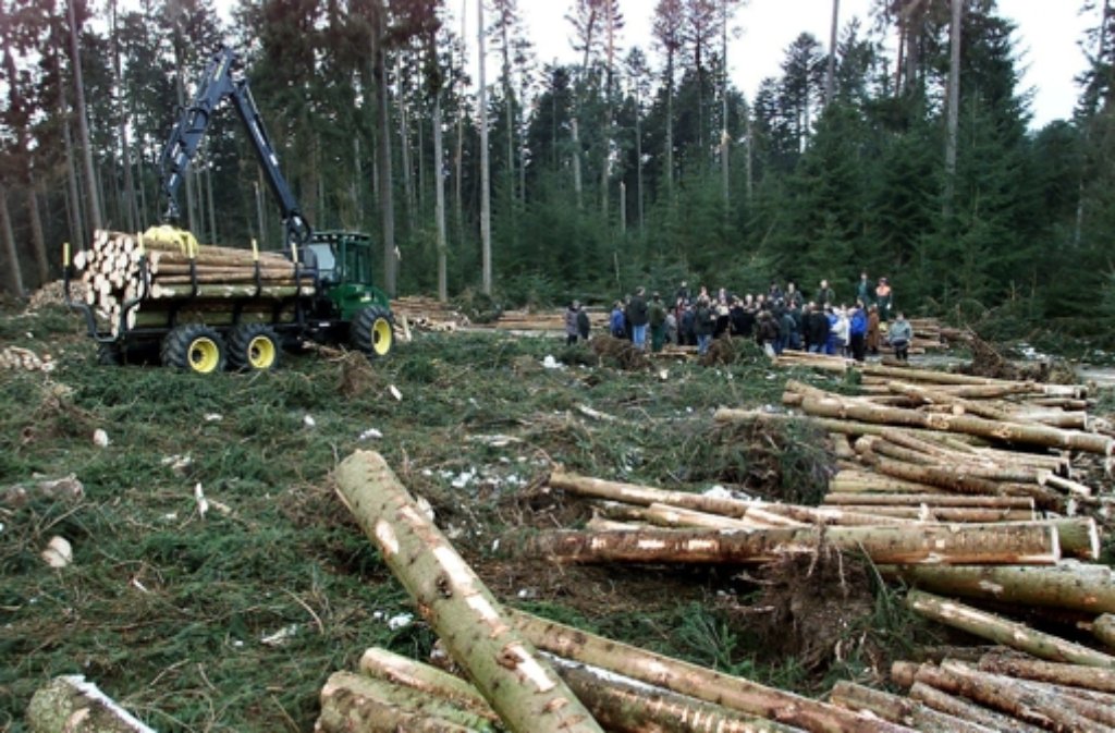 Landwirtschaftsministerin Staiblin, der baden-württembergische Ministerpräsident Teufel und EU-Haushaltskommissarin Schreyer informieren sich am 19. Januar 2000 zusammen mit betroffenen Landwirten in einem verwüsteten Waldstück in Martinsmoos über die Schäden.