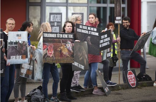 Demonstranten säumten den Gehweg an der Sulzbacher Straße in Backnang, hielten Schilder in die Höhe und  protestierten vor dem Firmengebäude gegen den  Schlachtbetrieb. Foto: Gottfried Stoppel