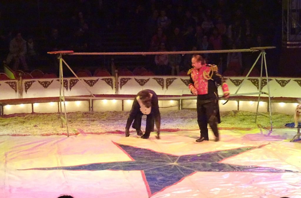 Robby bei einem früheren Auftritt in der Manege des Circus Belly.