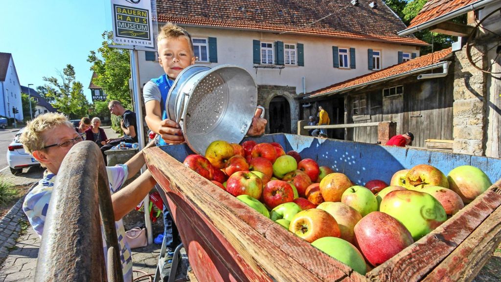 Apfelpressen im Bauernhausmuseum: Dieser Apfelsaft schmeckt noch nach Äpfeln!
