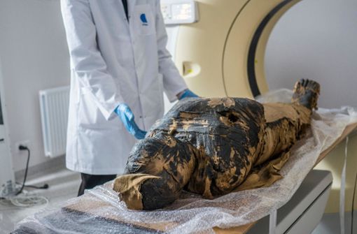 Die Wissenschaftler gehen davon aus, dass die Frau zwischen 20 und 30 Jahre alt und in der 26. bis 30. Schwangerschaftswoche war. Foto: Aleksander Leydo/Warsaw Mummy Project/AFP