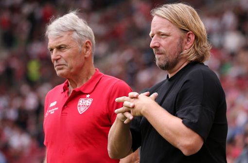Rainer Ulrich arbeitete 2019 beim VfB Stuttgart. Foto: Pressefoto Baumann/Julia Rahn