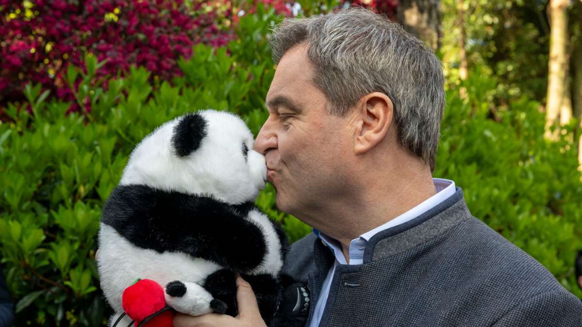 International: Premierminister und Pandas - Markus Söder in China