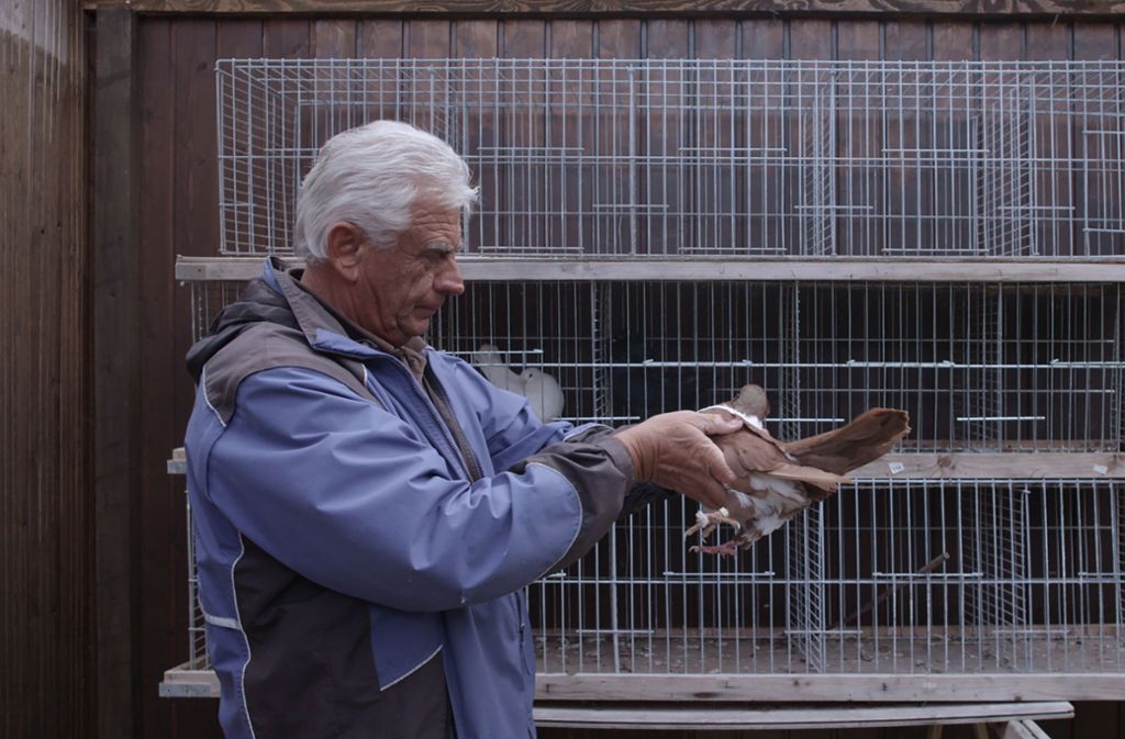 Ein Kleintierzüchter findet keinen Nachfolger im besten Dokumentarfilm „Stammtisch“