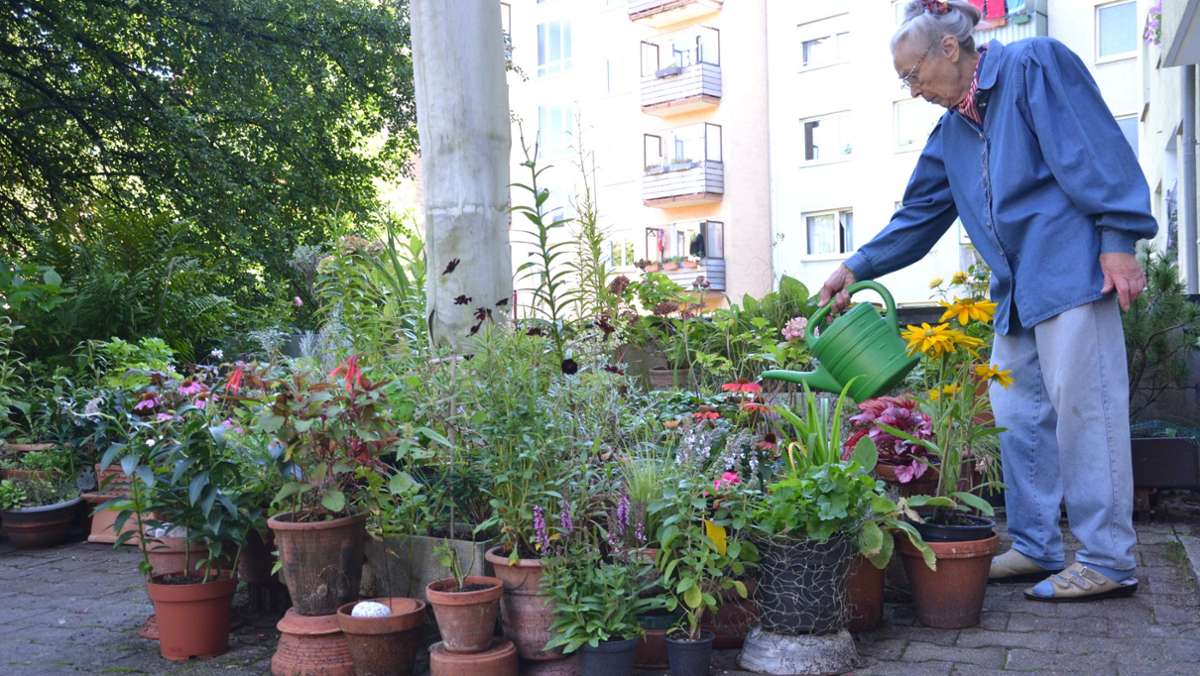 Pflanzen-Liebhaberin aus Stuttgart: Ein neues Leben für Friedhofsblumen