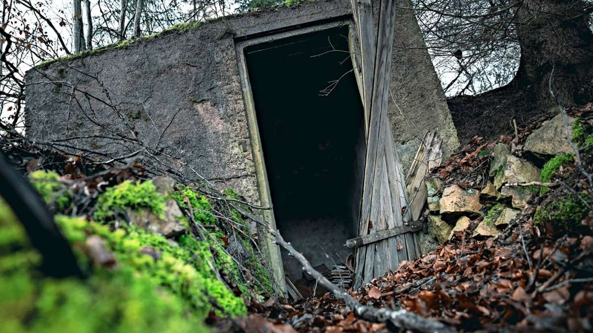Lost Places im Kreis Böblingen: Der verlassene Keller im Wald