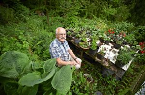 90-Jähriger werkelt in  Gartenoase in Kernen