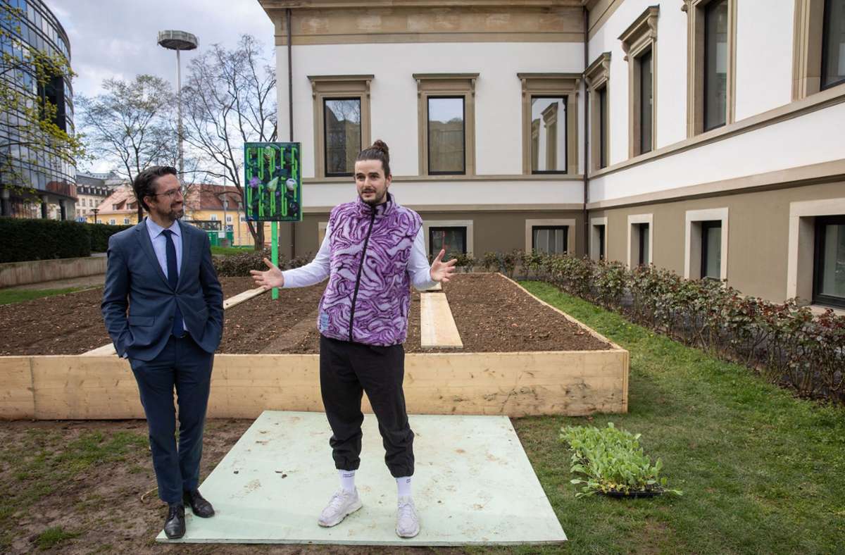 Der Künstler Tim Bengel (rechts) will zusammen mit dem Stadtpalais-Direktor Torben Giese und seinem Team im September ein Superkraut-Festival auf die Beine stellen.