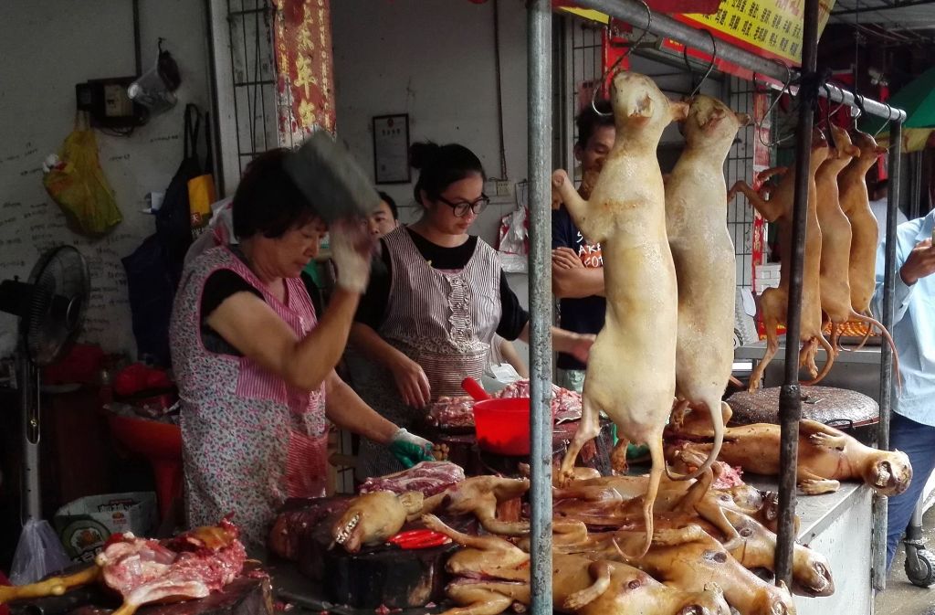 Eine Schlachterin entfernt die Reißzähne der Hunde mit dem Hackbeil, um das Fleisch dann zu frittieren.
