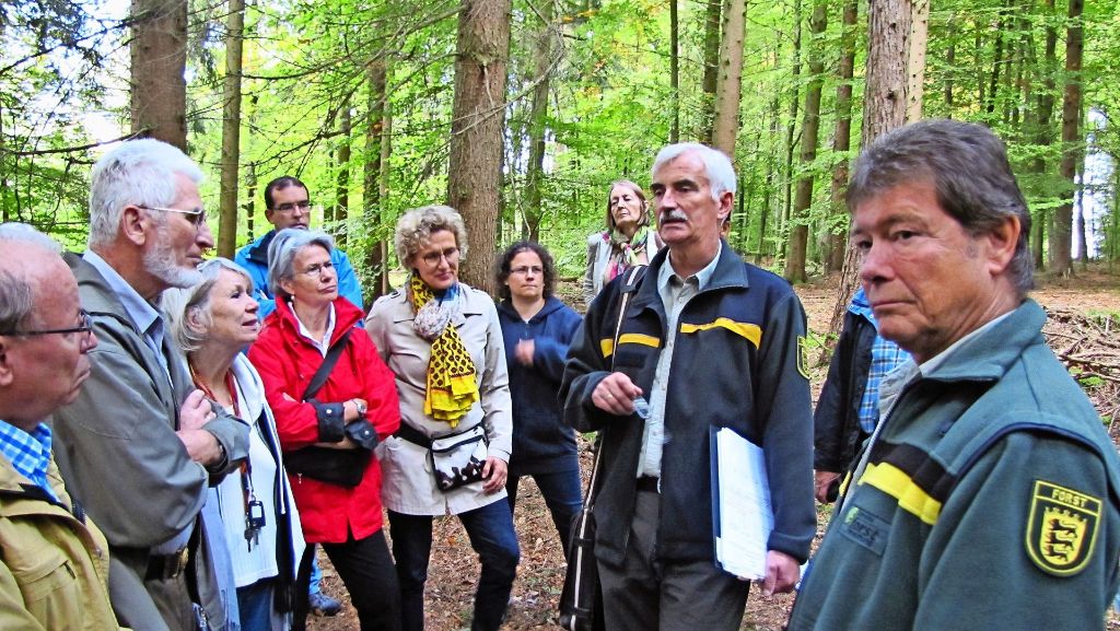 Waldrundgang in Leinfelden-Echterdingen: Wie sich der Klimawandel auf unsere Wälder auswirkt