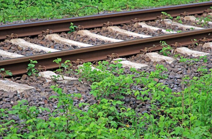 Vorfall in Renningen: Mann ohne Ticket beißt Kontrolleur und zieht ihn ins Gleisbett