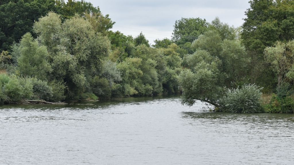 Am Neckar: Chemikalie belastet Trinkwasserversorgung