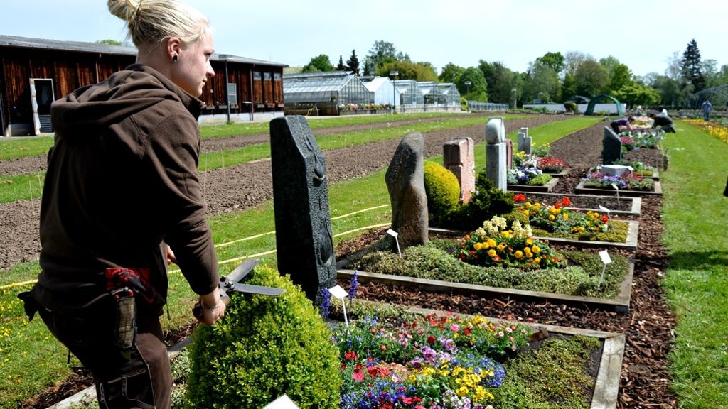 Mustergräber in Hohenheim: Vanilleblumen und Salbei auf dem Grab