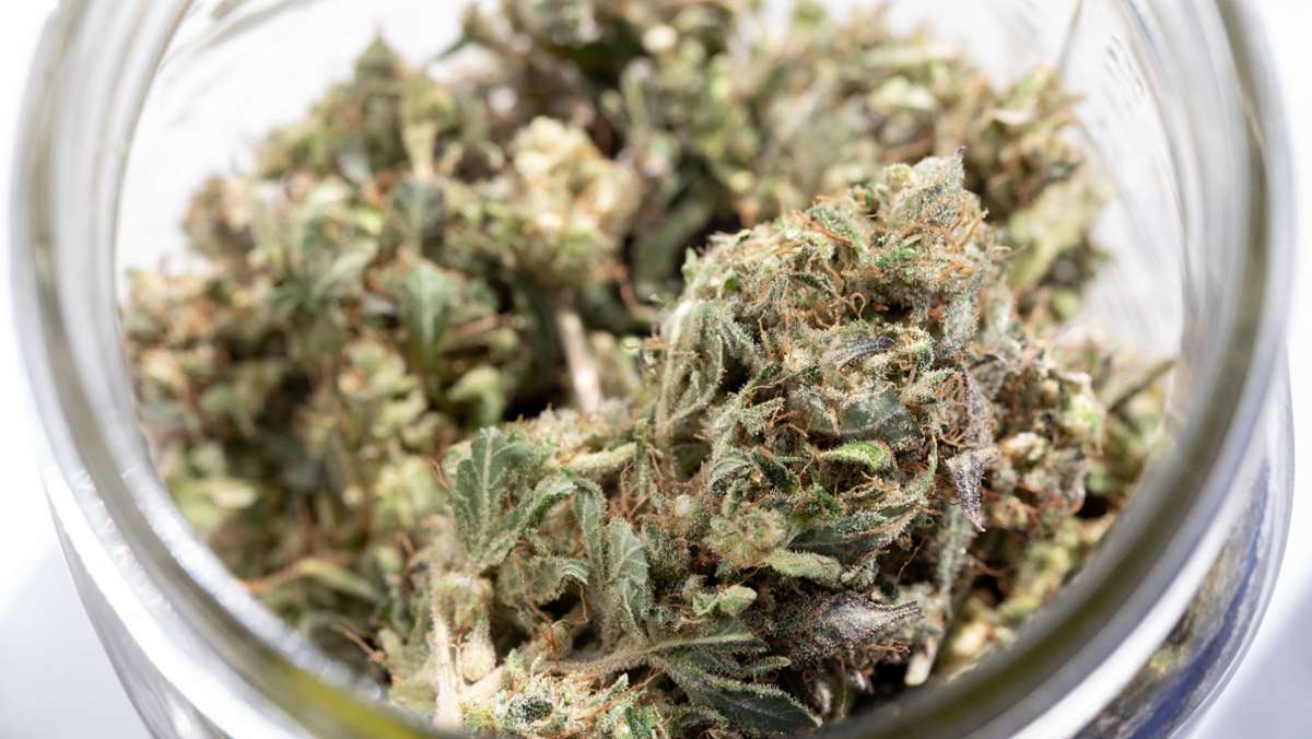 Mutmaßliche Drogendealer verhaftet: 71 Kilo Marihuana beschlagnahmt