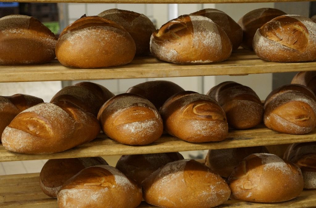 Die fertig gebackenen Brote – lecker!
