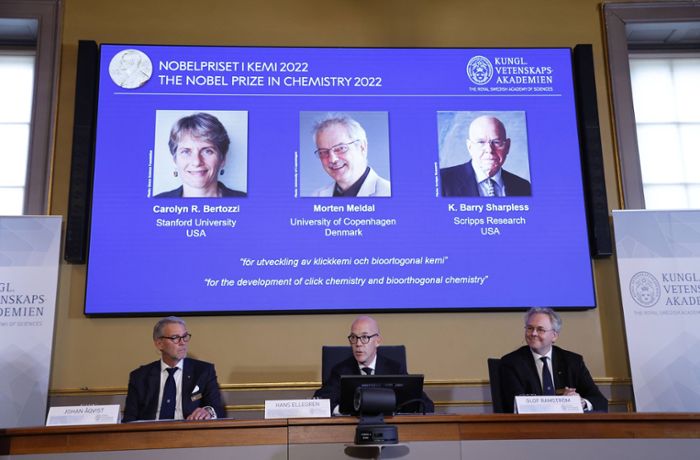 Stockholm: Chemie-Nobelpreis geht an Molekülforscher