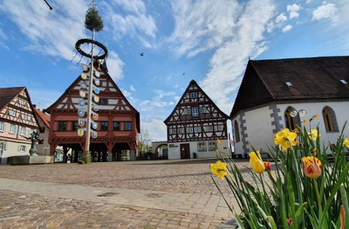 Der Plochinger Maibaum vor dem alten Rathaus. Foto: Stadt Plochingen