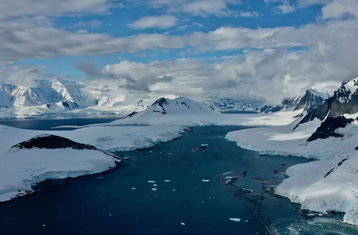 „Die geheimnisvolle Welt der Wale: Belugas reisen weit durch arktische Schneisen wie diese