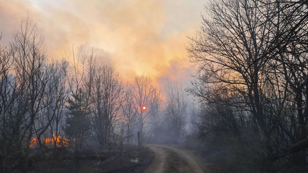 Ukraine: Löscherfolge bei Bränden in Tschernobyl-Zone