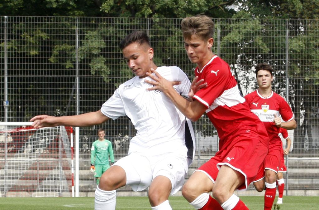 Die VfB-U-17 ist derzeit Fünfter in der B-Junioren-Bundesliga und erwartet am Samstag den Tabellenfünften aus Nürnberg.