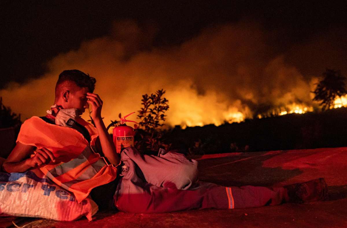 Seit rund zwei Wochen kämpft auch die Türkei gegen starke Waldbrände. Viele der Feuer sind inzwischen unter Kontrolle.