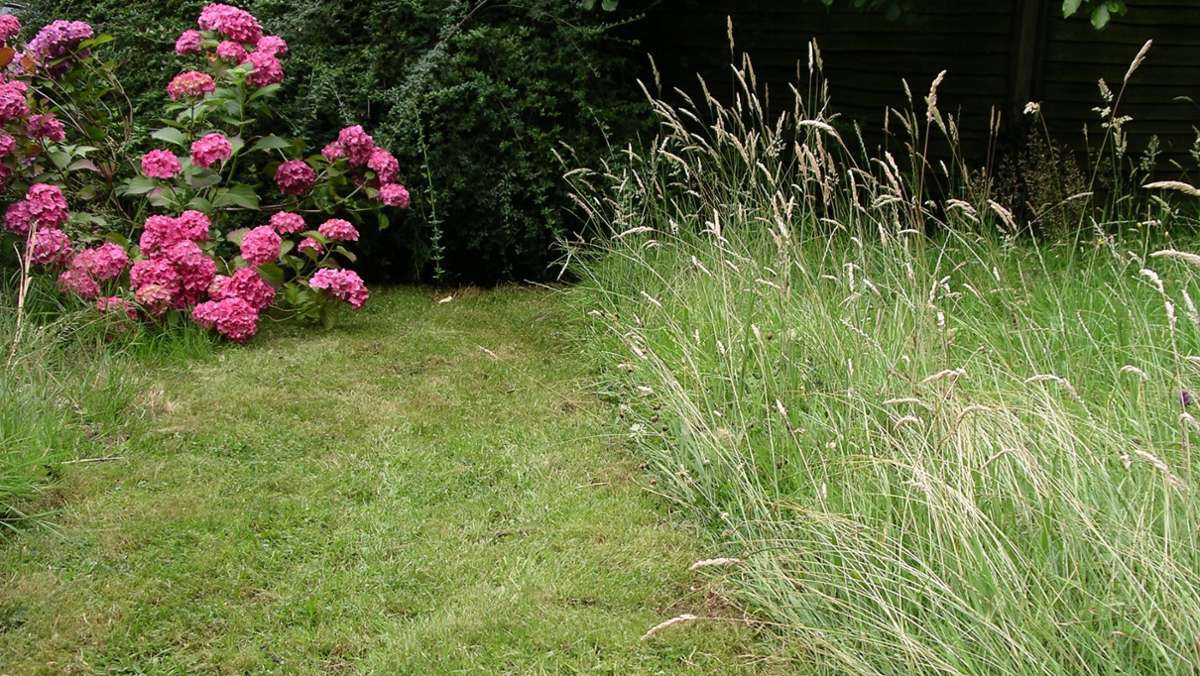 Tipps zum Rasenmähen: Rasenmähen – weniger ist manchmal mehr