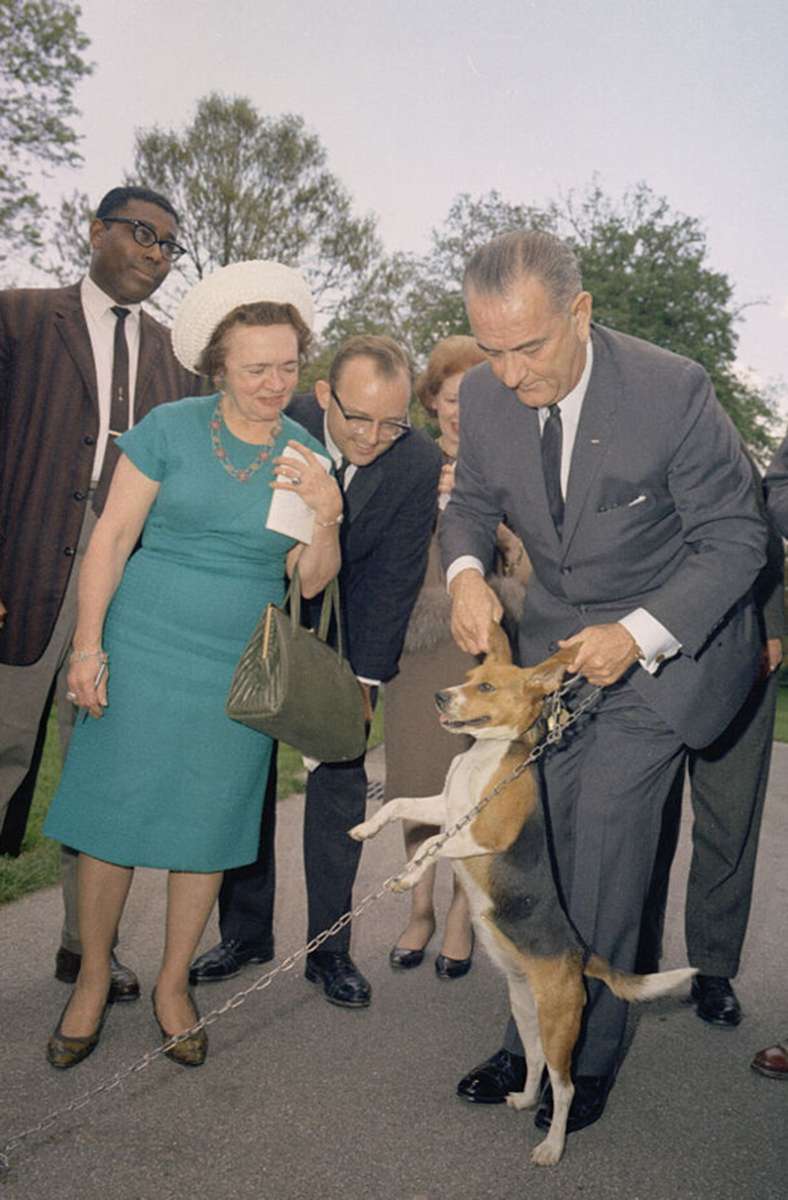 Lyndon B. Johnson (1963-1969) mit seinem Hund Him: Er hatte neben Beagles auch Hamster, Vögel und einen weißen Collie im White House.