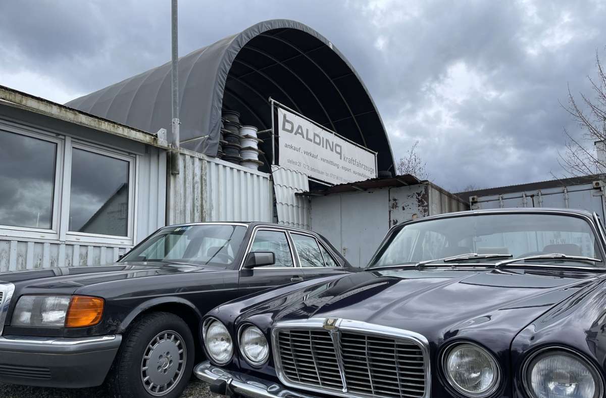 Klassiker: Der Mercedes und ein Jaguar müssen vor dem Verkauf noch genau inspiziert werden.