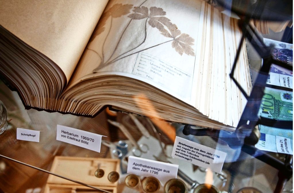 Herbarium, Apothekerwaage und  Schröpfkopf gehören zu den  Exponaten Foto: Stoppel
