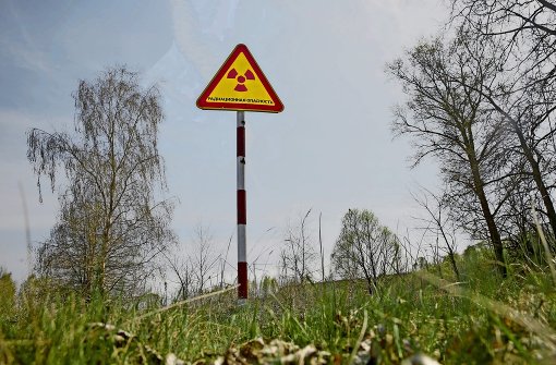 Trotz Strahlung hat sich die Vegetation um Tschernobyl gut entwickelt. Foto: dpa