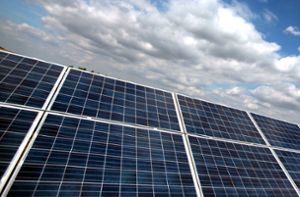 Appell für Photovoltaik in Weinbergen