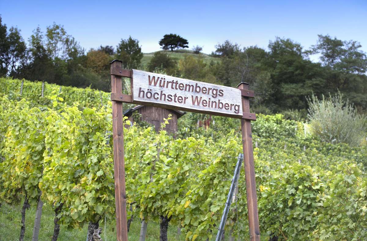 Mehr über Weinbau und andere Fakten rund um die Limburg erfahren Besucher an den Infotafeln des Natur- und Erlebnisweges.