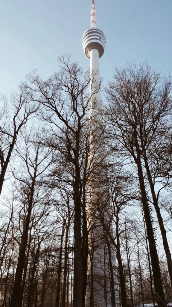 Hoch hinaus gehts bei unserem Türmle - dem Stuttgarter Fernsehturm.
