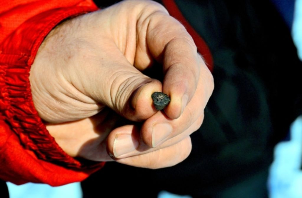 53 kleine Fragmente, die angeblich vom Meteoriten stammen, sind bisher gefunden worden.