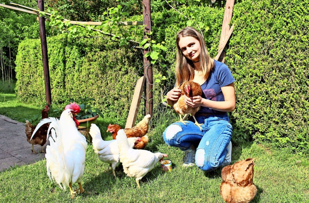 Eine gute Tiermama: Evelin Hafner wollte schon immer Hühner haben. Foto: Caroline Holowiecki