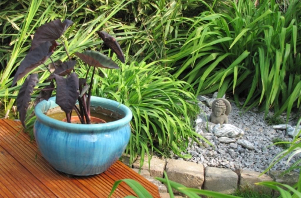 Sein Garten ist in verschiedene Bereiche unterteilt – unter anderem gibt es einen japanisch inspirierten Teil.