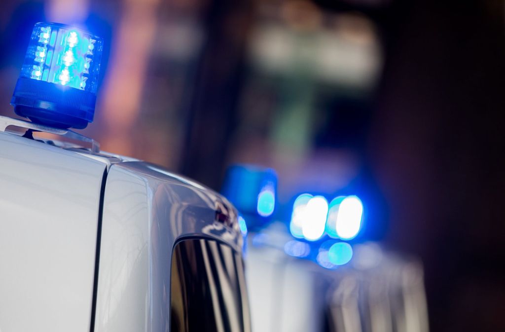 Die Polizei fahndet mit einem Phantombild nach dem Angreifer in Heidelberg