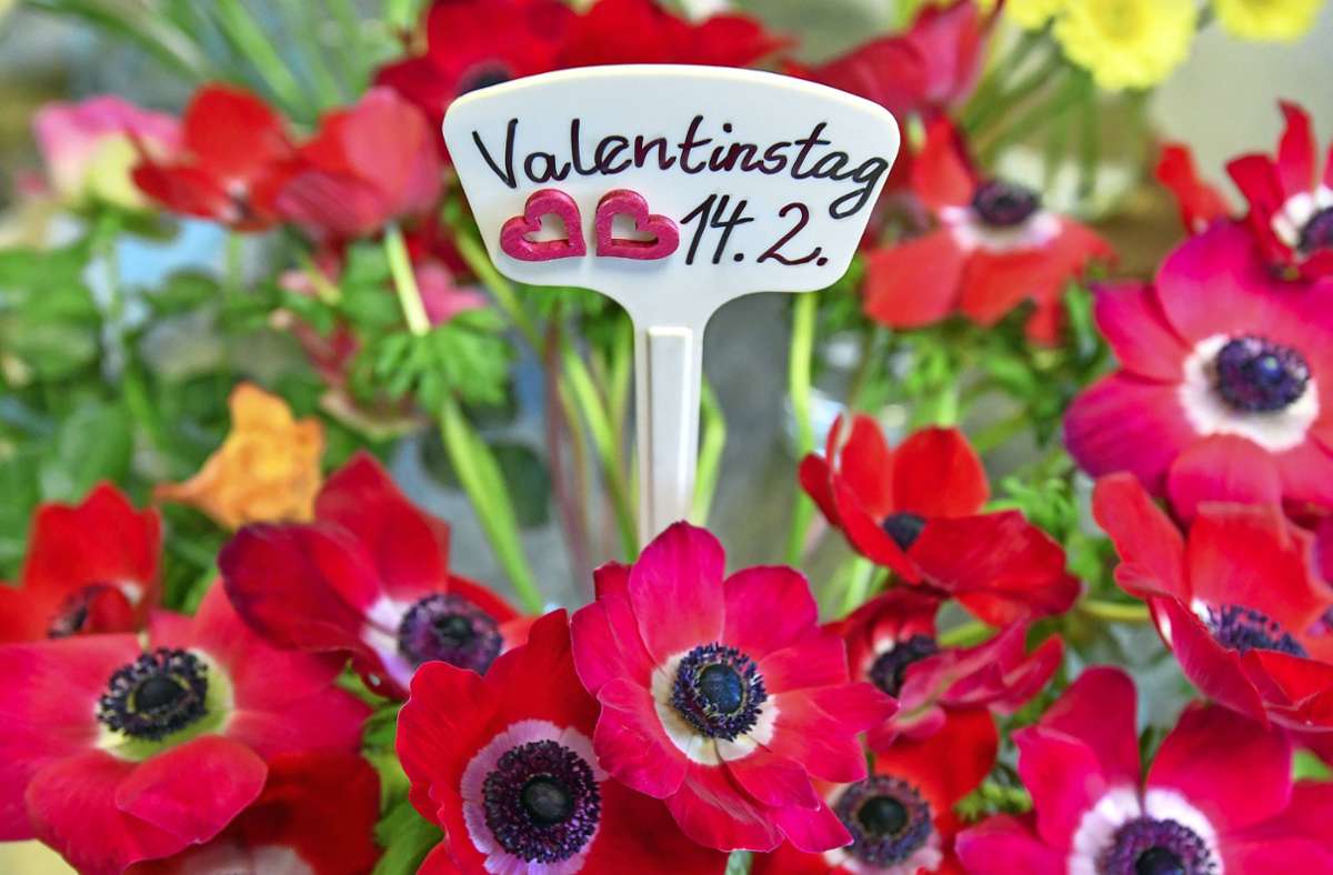 Am 14. Februar ist Valentinstag. Foto: dpa/Patrick Pleul